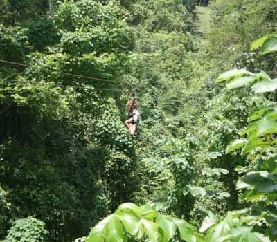1-DAY-ZIP-LINE-MABIRA-FORESTpic