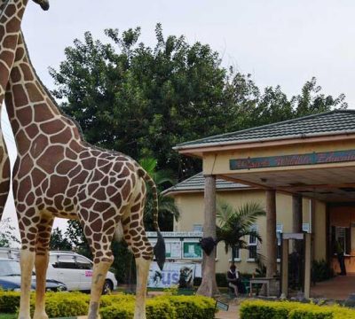 1 Day Behind the Scenes Entebbe Zoo