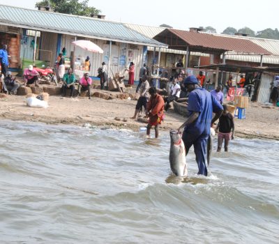 1 Day Fishing on Lake Victoria Uganda