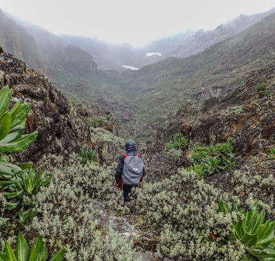 12 Rwenzori Trekking