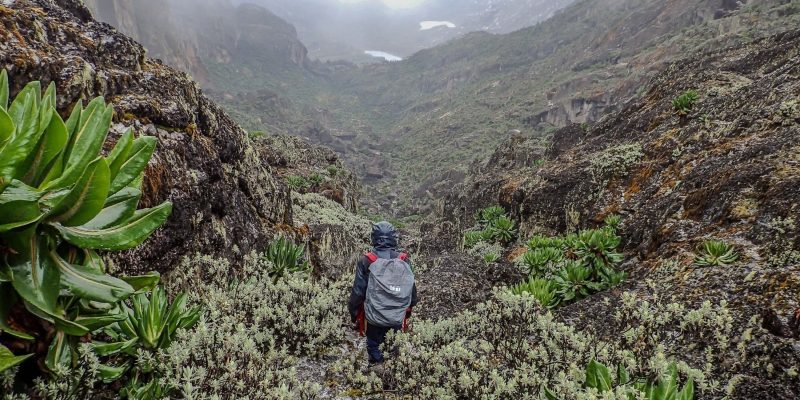 12 Rwenzori Trekking