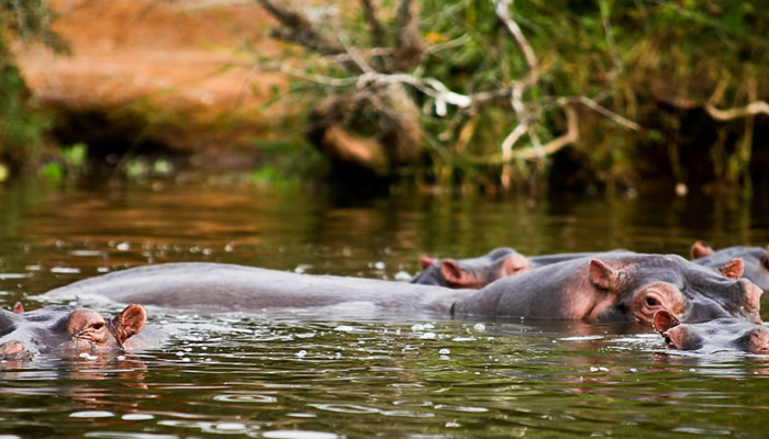 3-Days-Lake-Mburo-National 3-Days-Lake-Mburo-National
