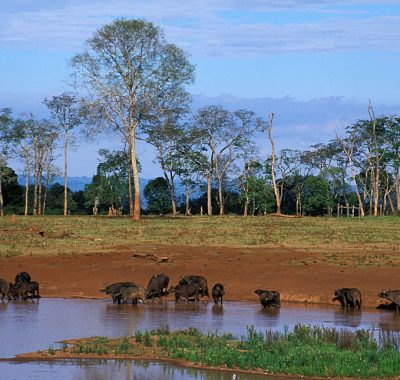 3-Days-Naierdare-National-Park-Fly-In