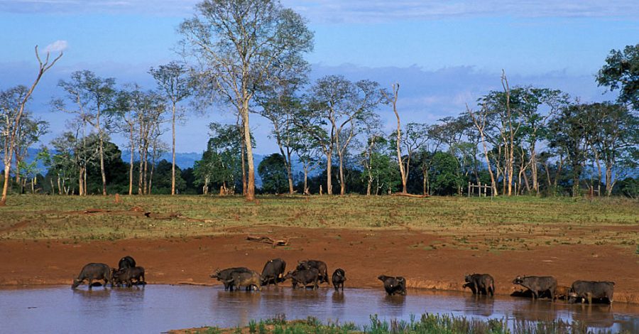 3-Days-Naierdare-National-Park-Fly-In