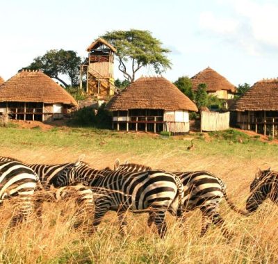 4-Days-Kidepo-Valley-Nat