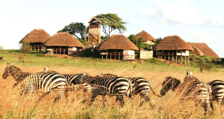 4-Days-Kidepo-Valley-Nat