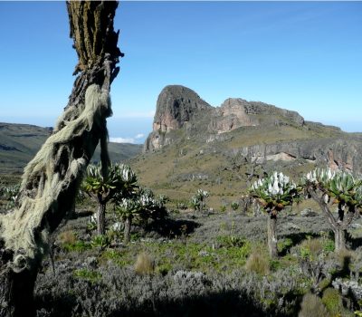 4-Days-Mount-Elgon-
