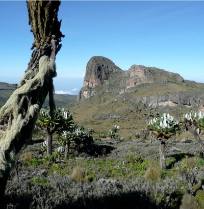 4-Days-Mount-Elgon-