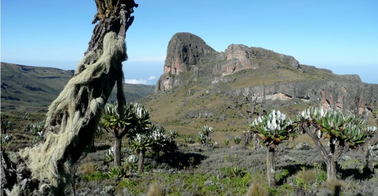 4-Days-Mount-Elgon- 4-Days-Mount-Elgon-