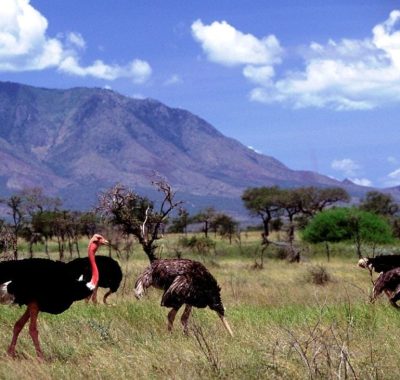 4-Days-kidepo-Valley-National-Park-Road