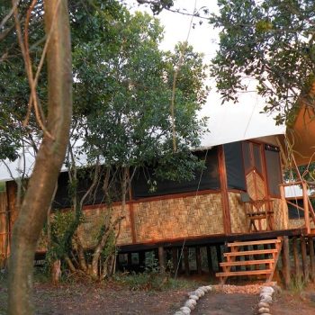 Bush-Lodge-Banda-1