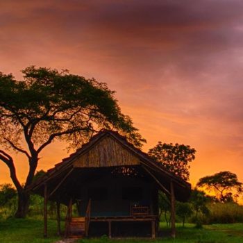 Bwana Tembo Safari Lodge