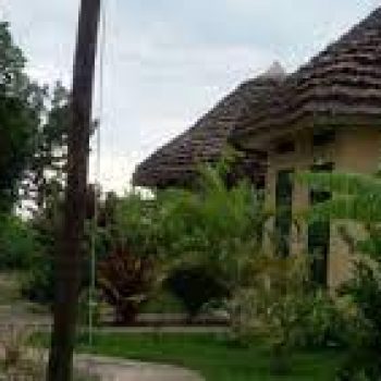 Bwindi Cultural Lodge