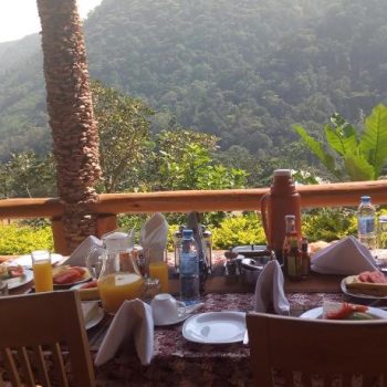 Bwindi Forest Lodge