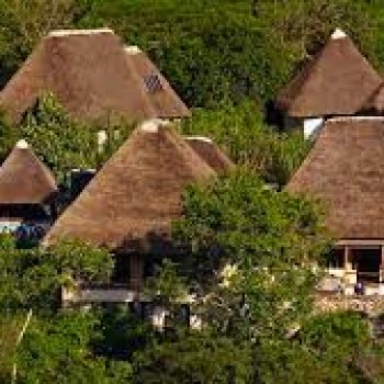 Bwindi Jungle Lodge