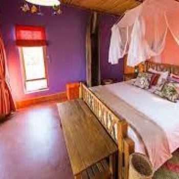 Chameleon Hill Lodge