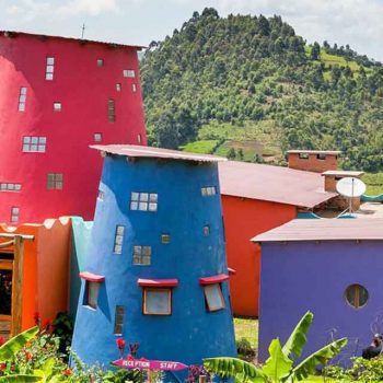 Chameleon hill