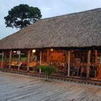 Chipanzee Forest Guesthouse