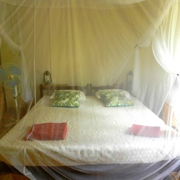 Forest House and River cottage 2