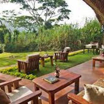 Gorilla Forest Lodge