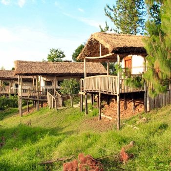 Gorilla Mist Lodge