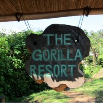 Gorilla Resort