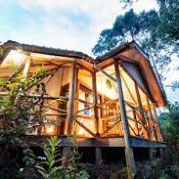 Gorilla Safari Lodge