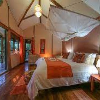 Gorilla Safari Lodge