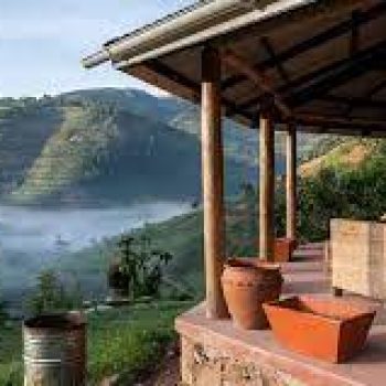 Gorilla Valley Lodge (Near Rushaga)