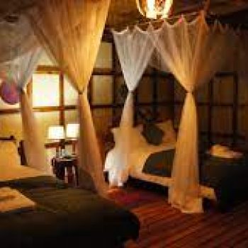 Haven Lodge Buhoma Community