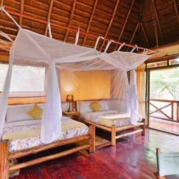 Ishasha Jungle Lodge