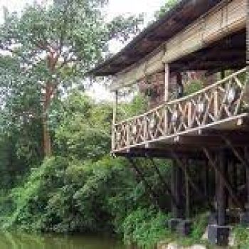 Jacana Safari Lodge