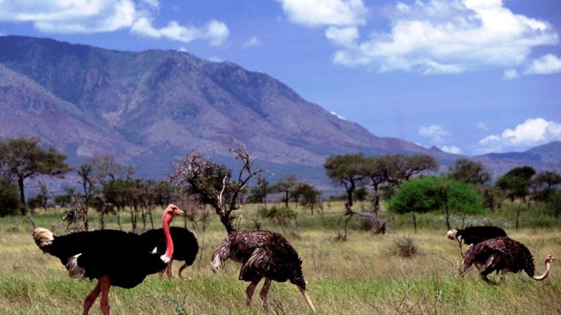 Kidepo Valley National Park Kidepo Valley National Park