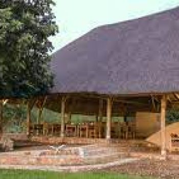 Murchsion Tree house