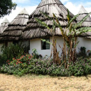 Queen Safari Camp