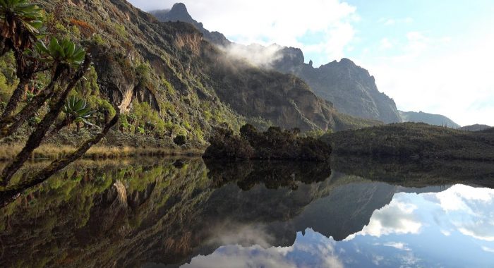 Rwenzori Mountains National Park Rwenzori Mountains National Park
