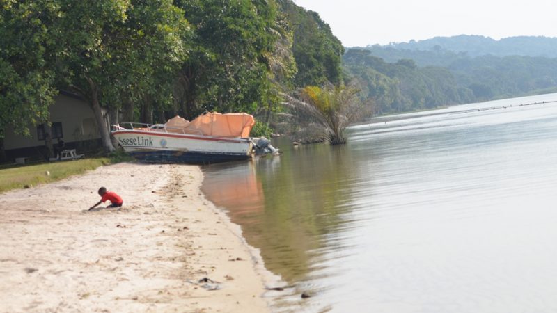 ????????????????????????????????????