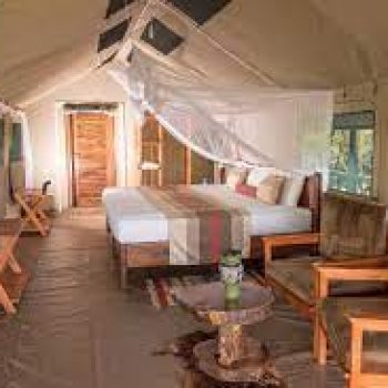 Twiga Safaris Lodge