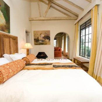 clouds-mountain-gorilla