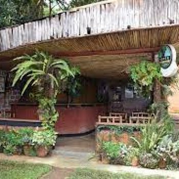 elgon view