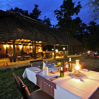 ishasha-wilderness-camp