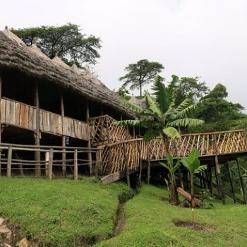 lacam lodge
