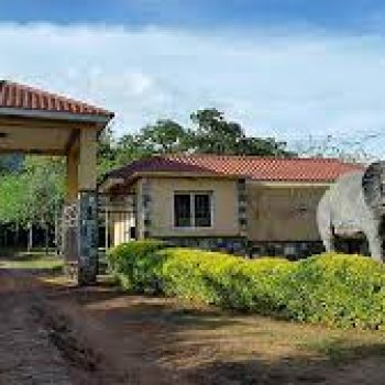 mount moroto