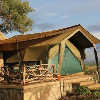 savanah lodge